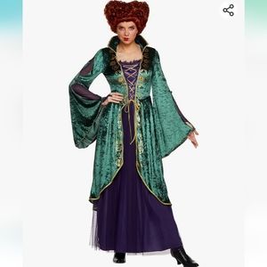 Hocus Pocus Winifred Sanderson Costume
